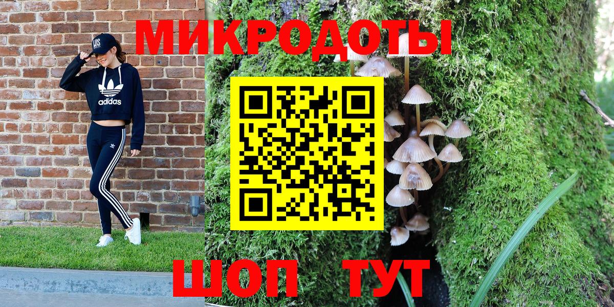 Псилоцибиновые грибы Psilocybe Сегежа