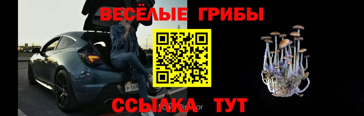 дарнет шоп  Вход с VPN  Псилоцибиновые грибы Psilocybine cubensis  Сегежа  Псилоцибиновые грибы мицелий 