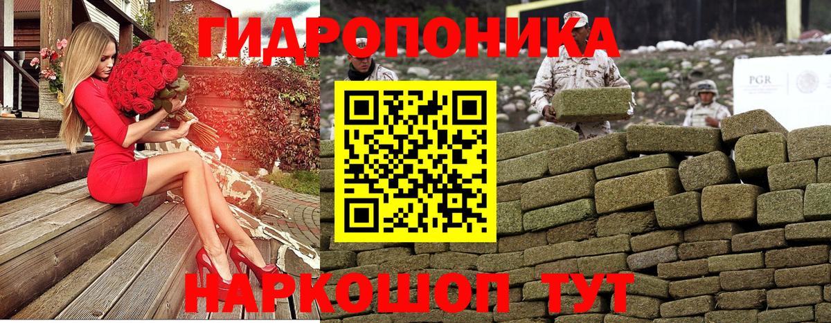 Конопля план  Вход с VPN  Бошки марихуана конопля  Бошки Шишки THC 21%  Сегежа 